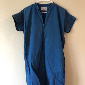 Everlane denim shift dress